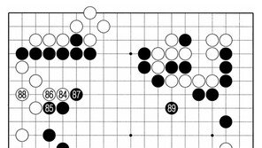 [바둑]알파고 vs 알파고 특선보… 백이 소극적인 이유