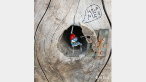 [고양이 눈]“도와주세요”