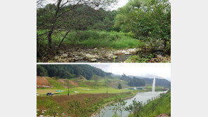 습지가 골프장으로… 한반도 산소탱크가 사라진다