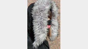 [날씨] 15일 낮부터 찬바람 체감‘뚝’…미세먼지도 완화