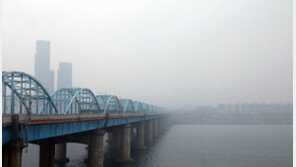 野, 정부 미세먼지 대응 부족 비판…“공약 어디로 갔나”