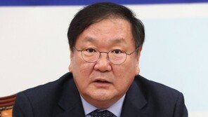 김태년, 황교안 한국당 입당에 “도로 친박당…보수의 비극”