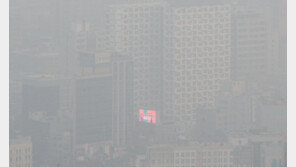 국민 절반 이상 “미세먼지 원인 ‘중국’…차량 2부제 확대해야”