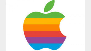 애플, 중국 이어 인도에서도 몰락…점유율 1%대