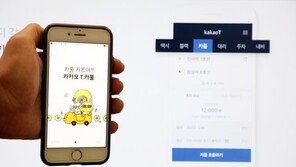 카카오카풀 시범서비스 중단…택시업계 “완전폐지” 강경유지