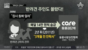 ‘케어’ 박소연 대표, 위탁견도 안락사…“마취 없이 개 심장에 주사도”