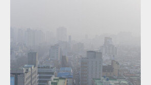 “16일은 대기 청정”…미세먼지 저감조치 15일 해제