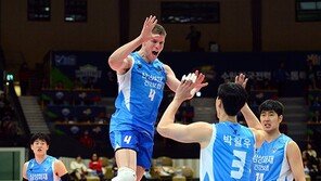 황동일의 고른 분배…삼성화재 삼각편대의 압승