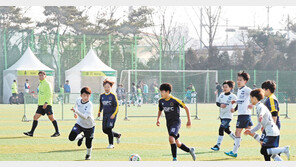 경주컵 동계클럽 유소년 축구대회