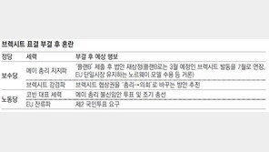 메이 정치생명 기로에… 브렉시트 제2 국민투표 가능성도