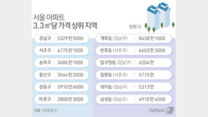 서울 아파트 부촌 1위 ‘개포동’…2위는?