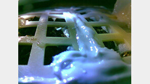 중국 창어4호, 달에서 목화씨 싹 틔우는데 성공