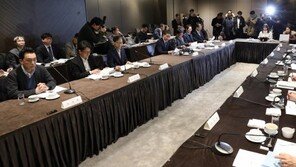 국민연금이 KAL 경영에 참여?…연금사회주의·소송 비화 우려도