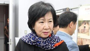 문화재청 “문화재 지정, 손혜원 의원 입김에 좌우될 사안 아냐” 