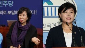 민주 “손혜원·서영교, 사무처서 진상조사…두 의원 직은 일단 유지”