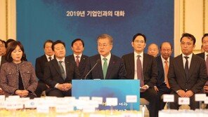 文대통령 “기업인 건의 후속조처, 빈틈없이 진행해달라”