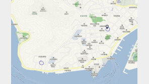 손혜원 “아파트 지으려는 이들의 작업, 아직 안 끝나” 의미심장