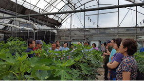 농촌서도 육아·문화 혜택 누린다…청년보금자리 4개소 조성