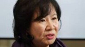 평화당 “영부인 친구 손혜원, 단순 투기 의혹 아닌 권력형 비리…썩은 내 진동”