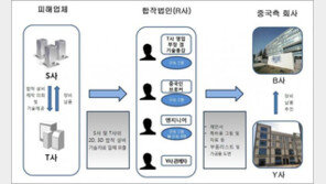 검찰, 휴대폰 OLED 엣지 패널기술 중국 유출 일당 8명 기소