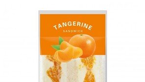 [유통] 세븐일레븐 ‘듬뿍듬뿍 감귤샌드’ 내놓아