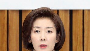 나경원 “친황? 친황교안계?…계파 이야기 안 나오게 해달라”