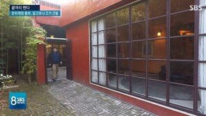 손혜원 조카 “목포 건물, 싸고 아름다워 매입…문화재로 등록될지 몰랐다”