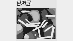 NYT “치명적 北 생물학 무기…탄저균 1갤런, 全인류 숨지게 할 수도”