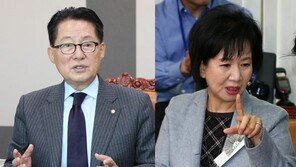 박지원 “손혜원 의혹, 거기서도 두 가지 평…9채 보도엔 나도 깜짝 놀라” 