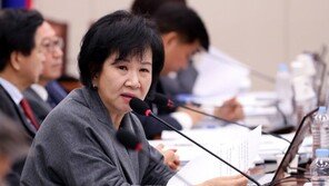 野4당 “내로남불 끝판왕” 손혜원·서영교…거세게 비난