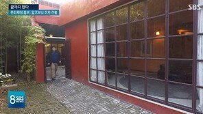 손혜원 조카 “주민들이 고맙다며 이것저것 챙겨주는 데 투기?…평생 살 집” 