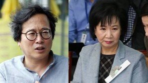 황교익 “손혜원 뇌 패턴 건전” 두둔…손혜원 “일면식도 없는데” 감사
