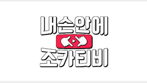 [연예뉴스 HOT5] tvN ‘내 손안에 조카티비’ 2월 방송