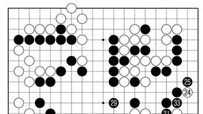 [바둑]알파고 vs 알파고 특선보… 만사형통