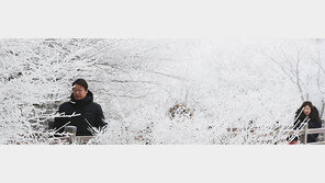 새하얀 눈꽃 세상