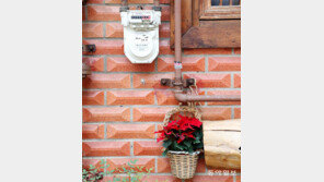 [고양이 눈]고생 많으십니다