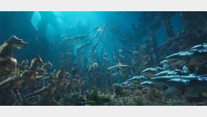 크리스티안 로렌츠 쇼이러 “영감 얻는 최고의 방법은 많이 보는 것”