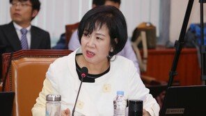 손혜원 “난 자식 없어…목포 투기 사실 아니란 것에 인생·전재산·의원직 건다”