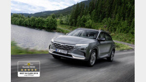 올해 수소차 사면 3600만원 보조금…전기차는 1900만원