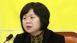 이정미 “2020년 총선 통해 당 지지율 15% 안착시켜야”