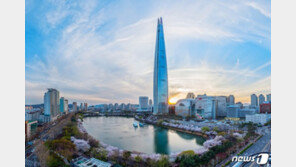 대법 “제2롯데월드, 송파구청 산정대로 도로점용료 내야”