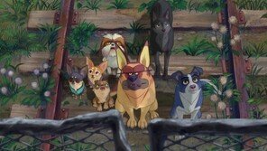 애니 ‘언더독’, 中·日서 거둔 독보적인 성과