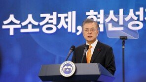 기업 유인책 찾는 文대통령…투자 요구 앞서 민원 해소부터