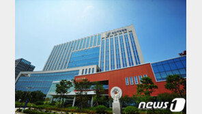 합의금 마련 위해 4000만원 사기친 부부 등 일가족 처벌