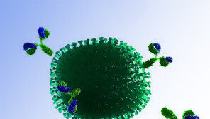 몽골서 고병원성 H1N1 인플루엔자 6명 발병…1명 사망