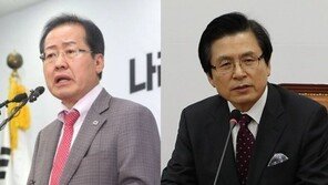 洪, 황교안 겨냥 ‘레밍 신드롬’ 썼다가 삭제, 왜?…“경고성 의미”