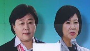민주당 “손혜원 해명, 수용…서영교, 수석부대표·상임위 위원 자진 사퇴”