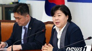 與 “서영교 원내수석 자진사퇴…손혜원 입장은 수용”