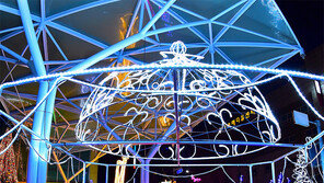 제천엔 100만 송이 ‘LED 벚꽃’이 핀다