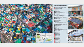 부동산 20곳 모두 등록문화재 지역 대로변 등 ‘노른자위’에 밀집